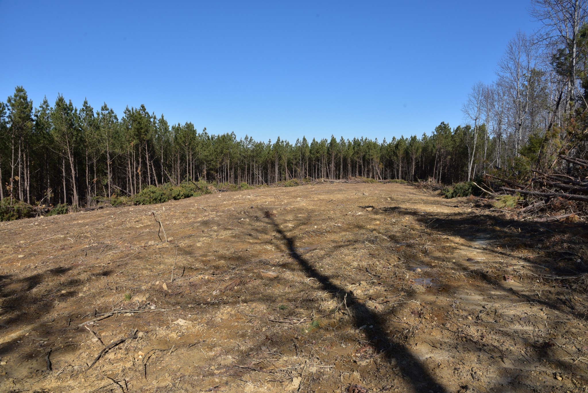 0 White Oak Rd Property Photo 5