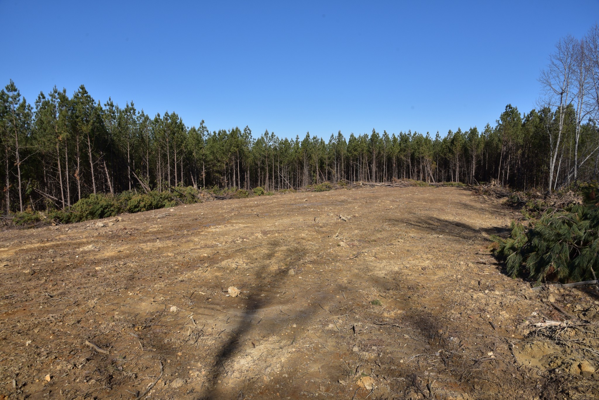 0 White Oak Rd Property Photo 6