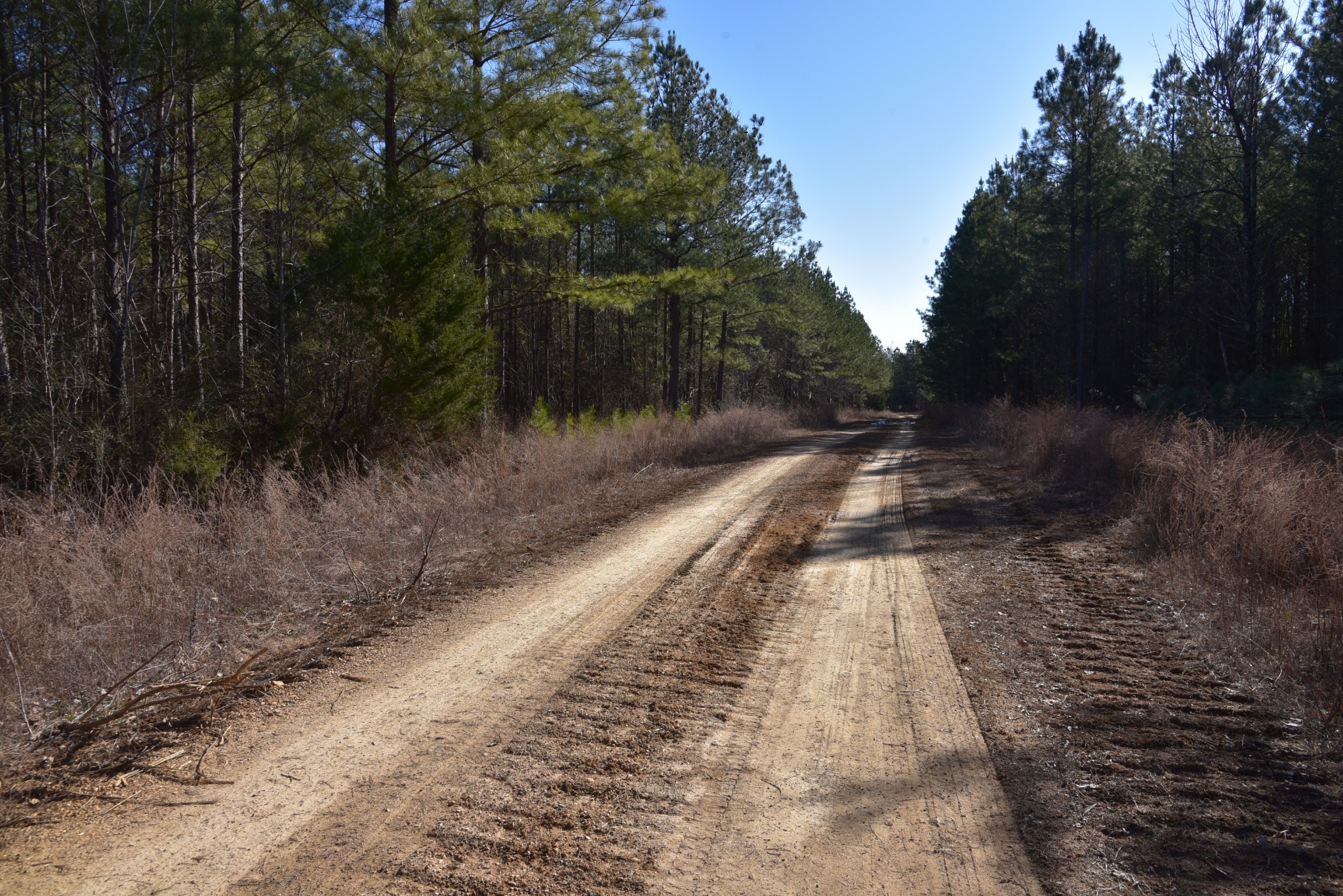 0 White Oak Rd Property Photo 8