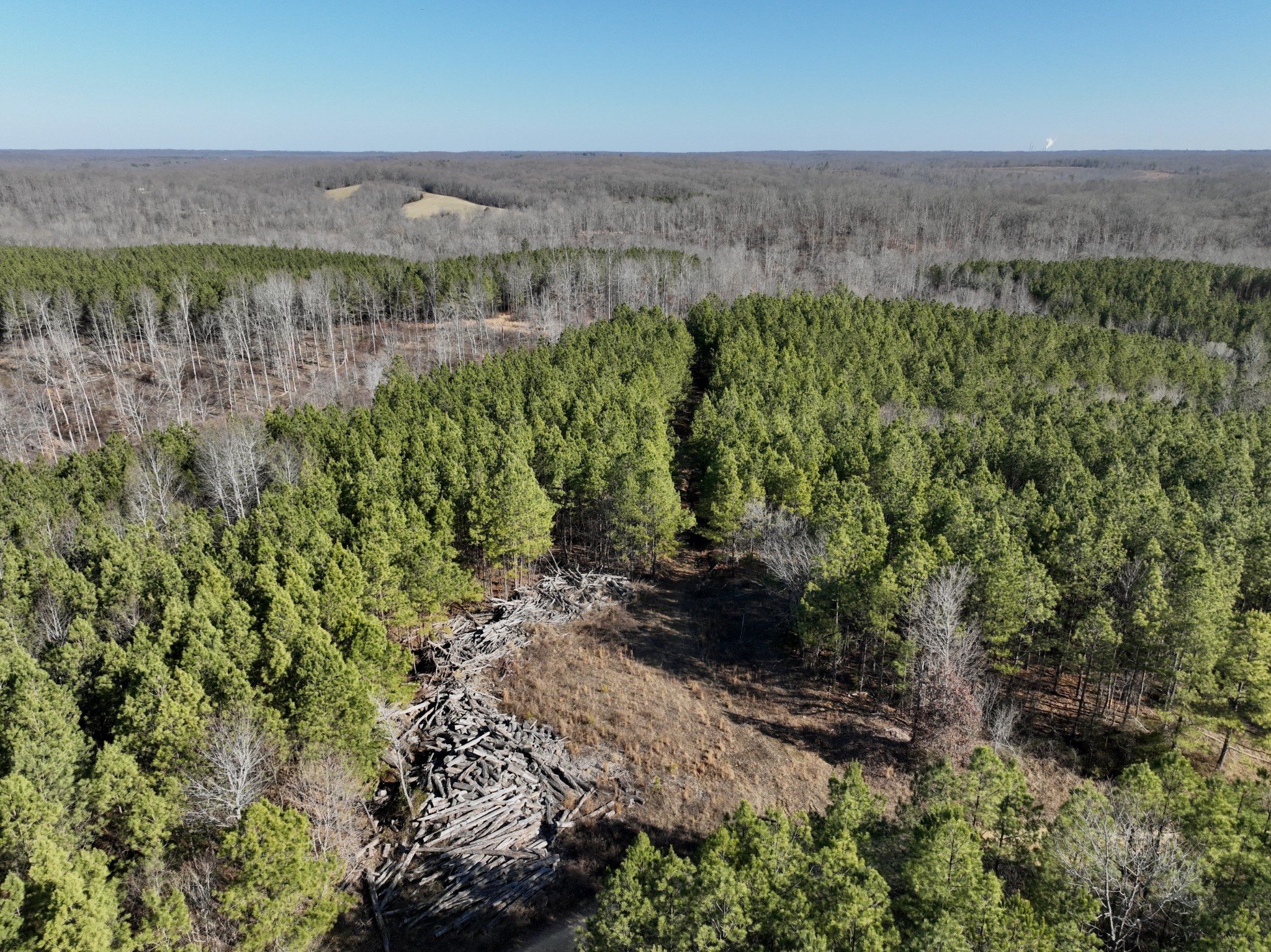 0 White Oak Rd Property Photo 12