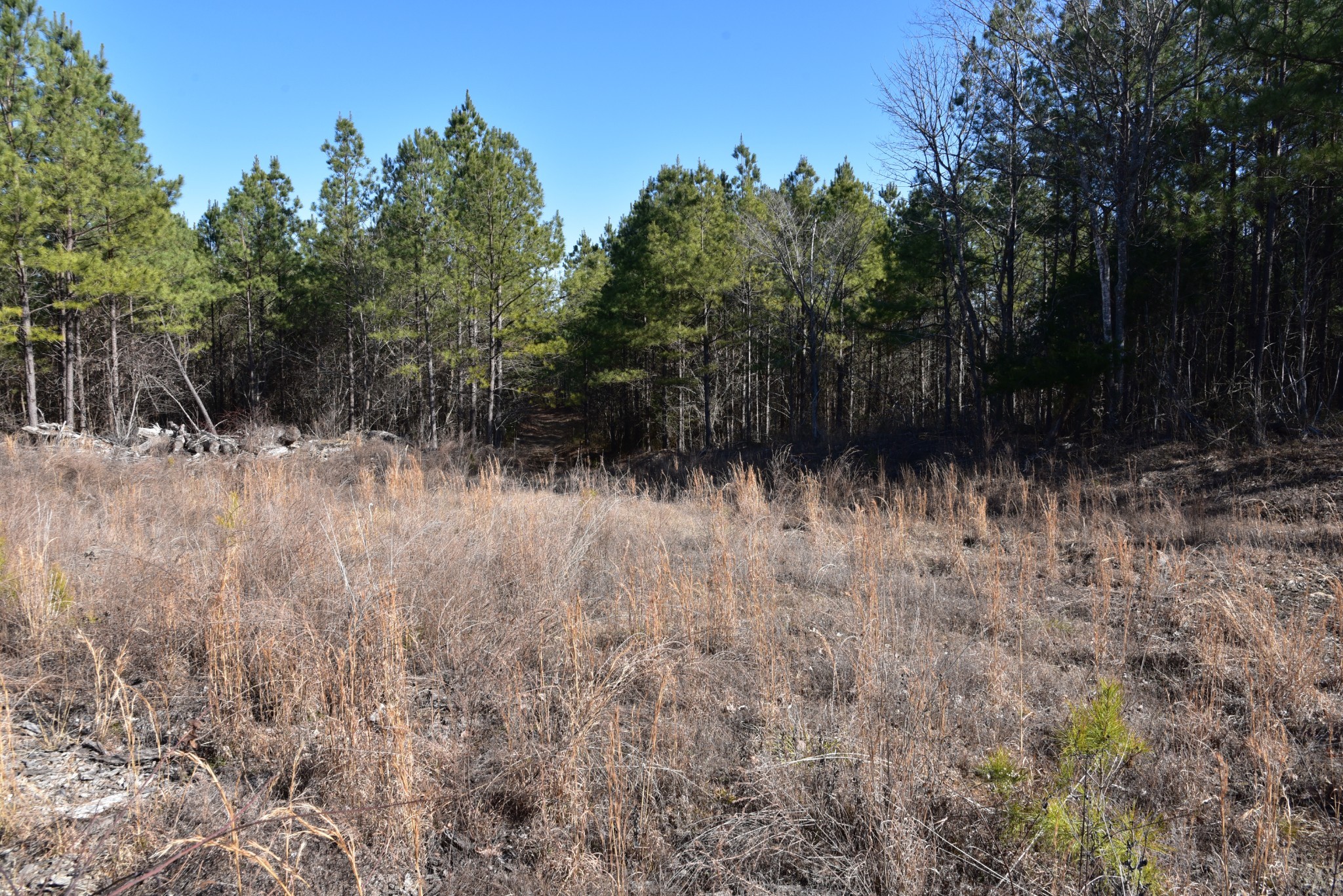 0 White Oak Rd Property Photo 13