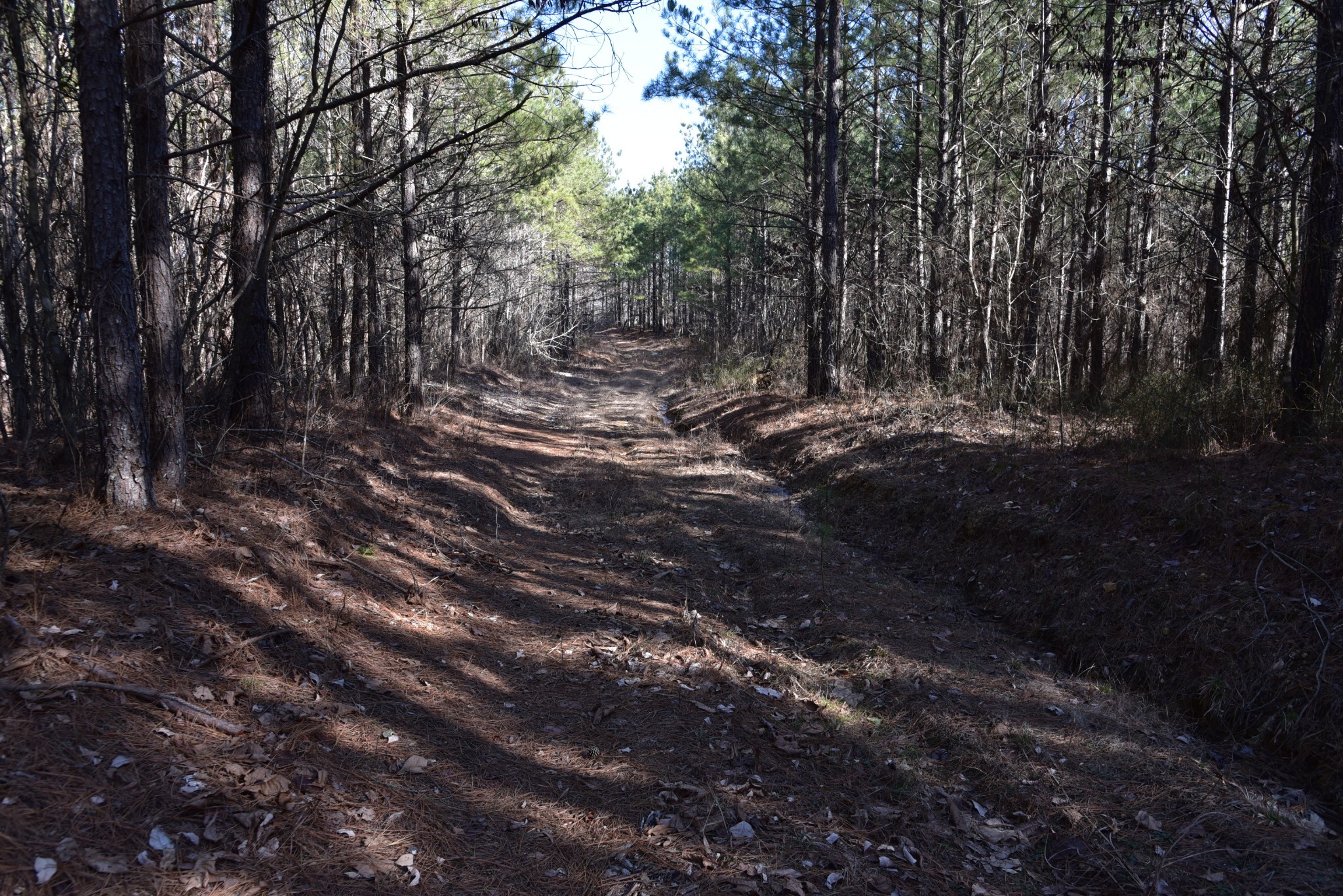 0 White Oak Rd Property Photo 14