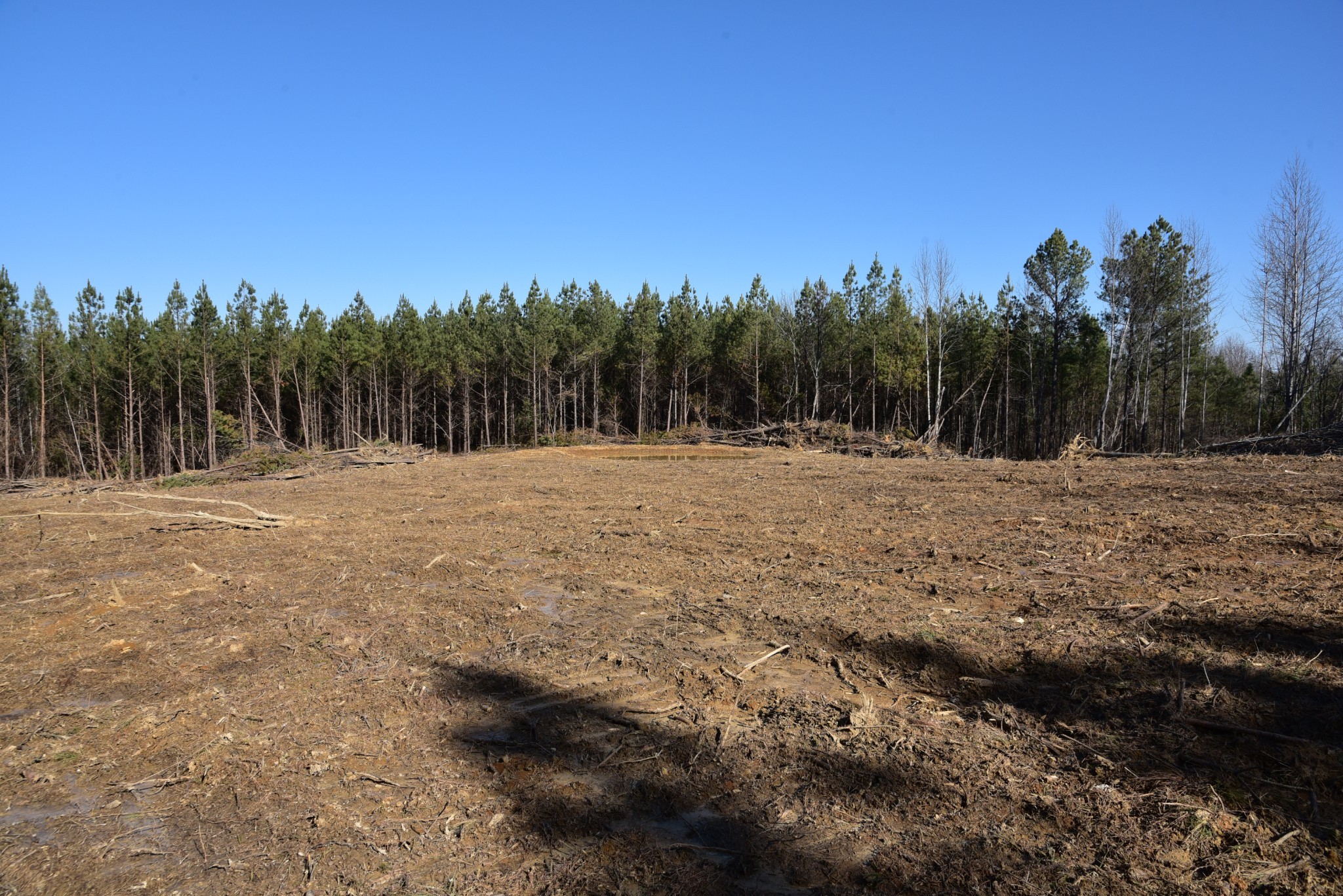 0 White Oak Rd Property Photo 17