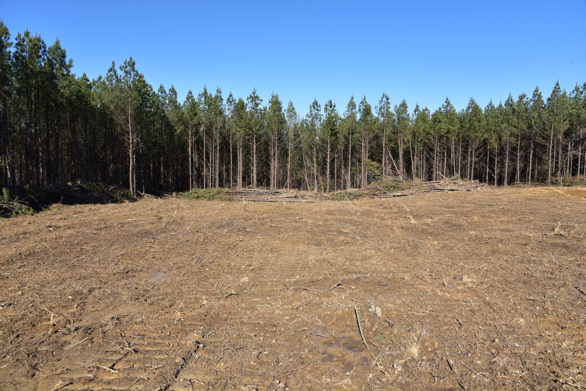 0 White Oak Rd Property Photo 18