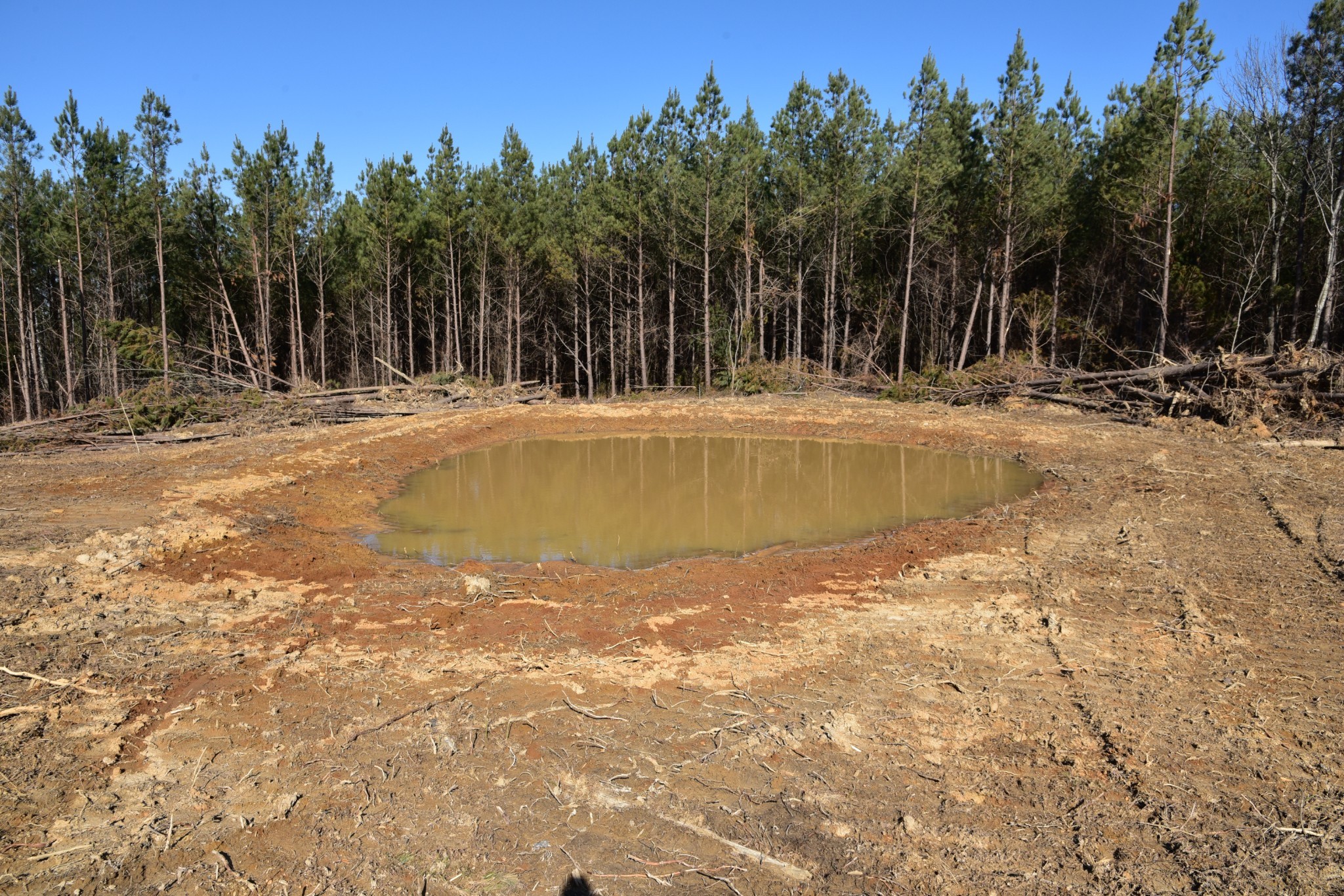 0 White Oak Rd Property Photo 19