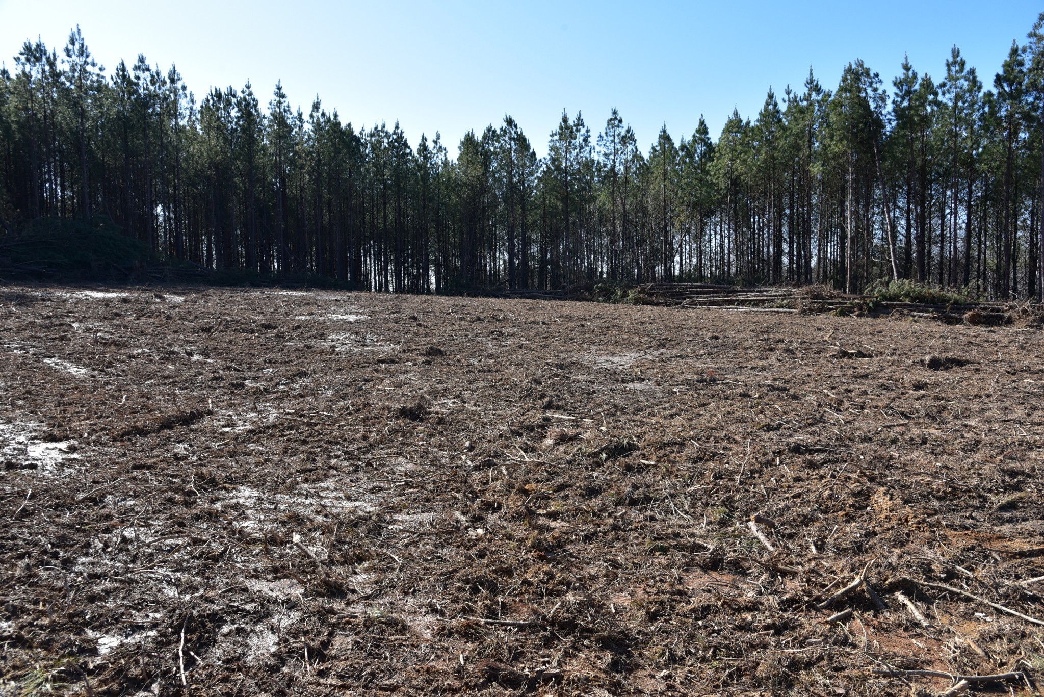 0 White Oak Rd Property Photo 21