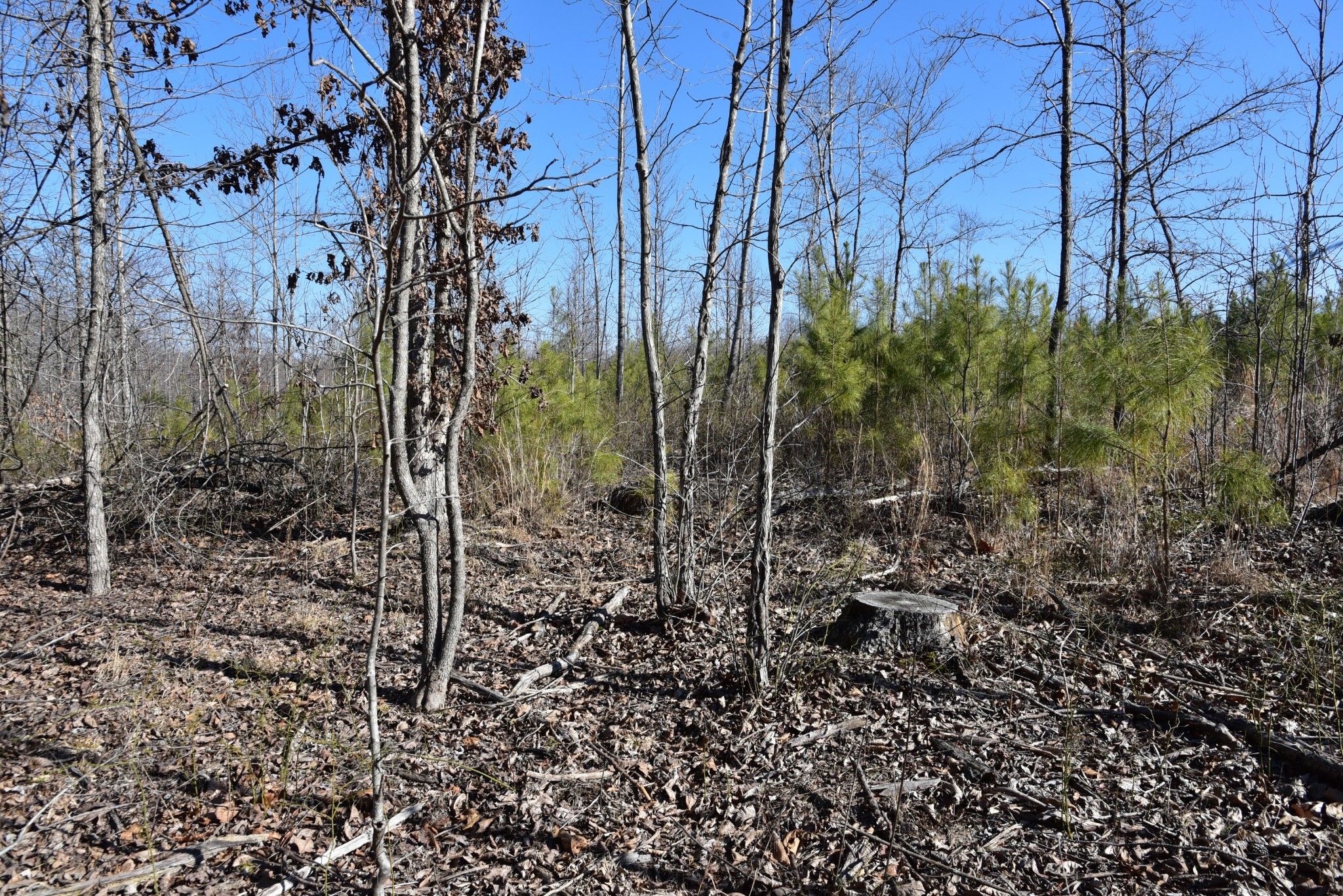 0 White Oak Rd Property Photo 23