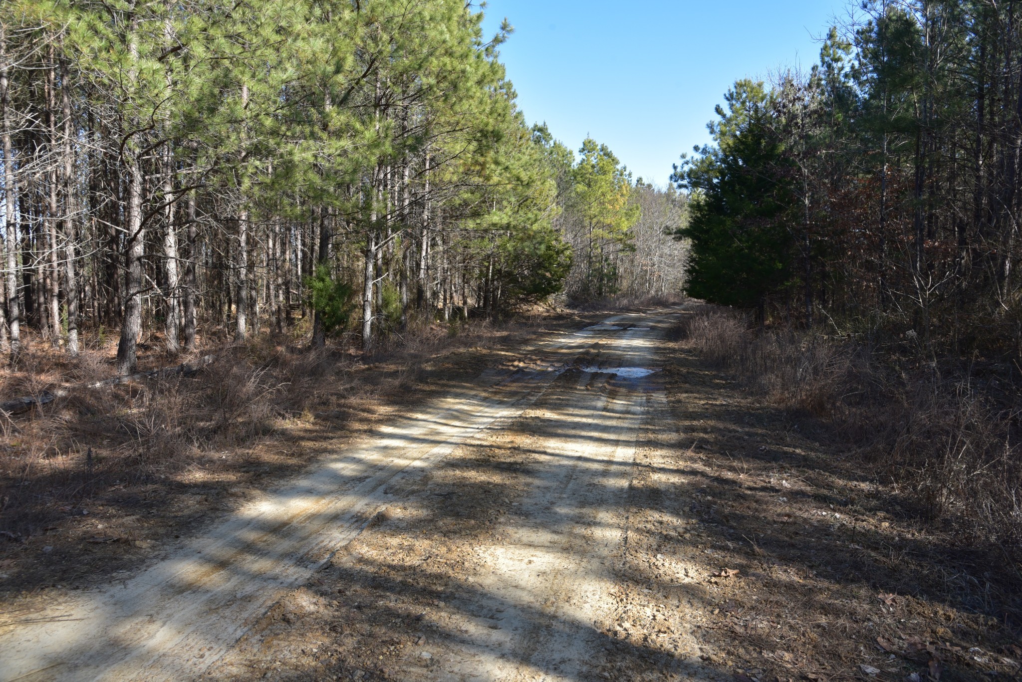 0 White Oak Rd Property Photo 26