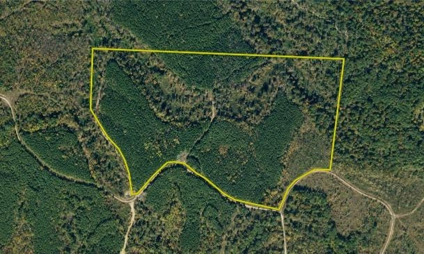 0 White Oak Rd Property Photo 27