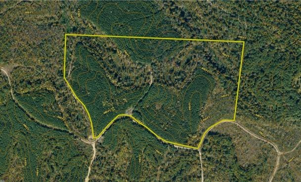 0 White Oak Rd Property Photo 28