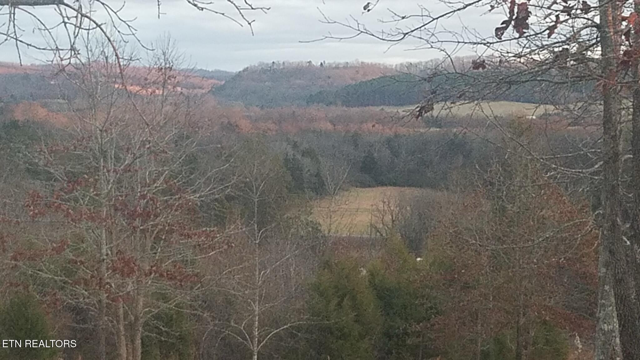 417 Womac Hollow Rd Property Photo 2