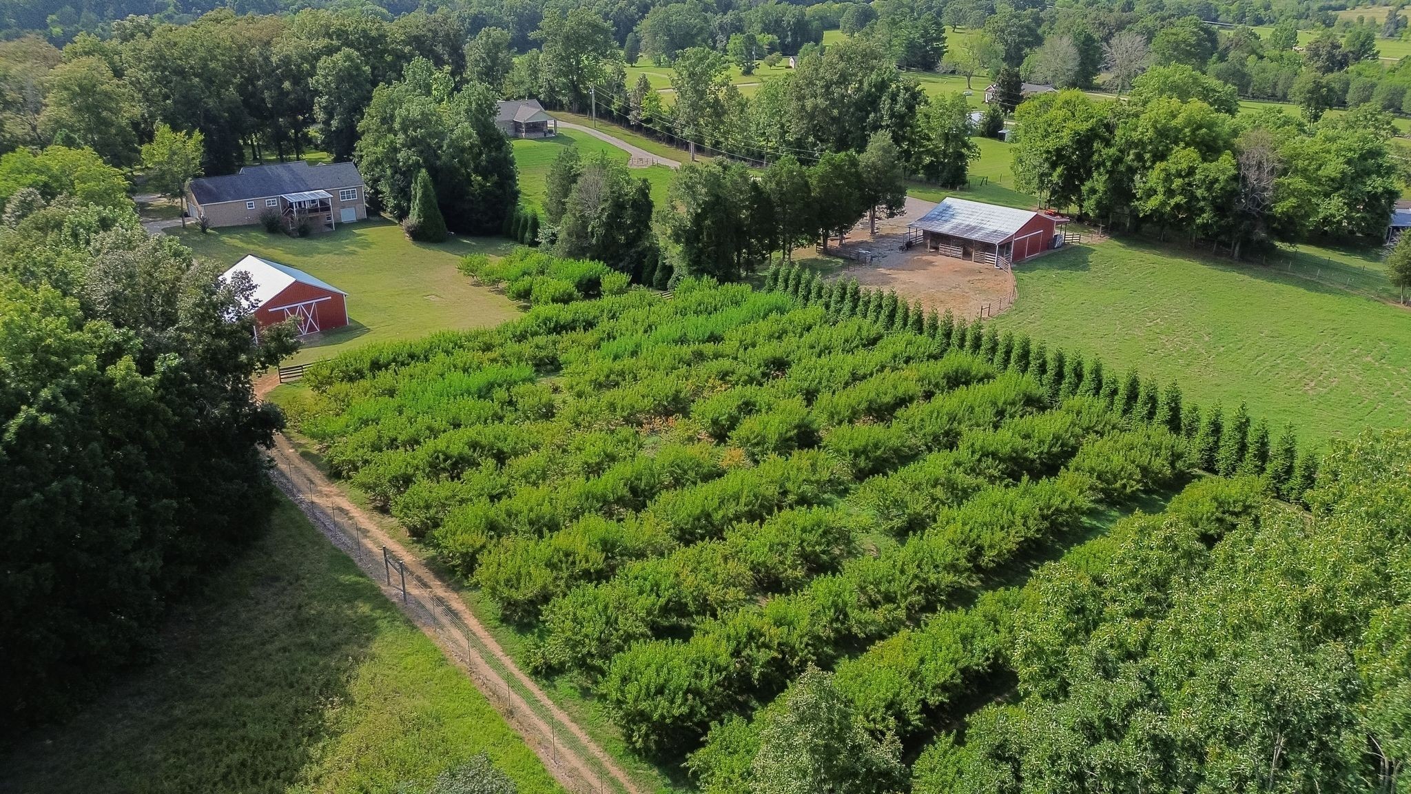 2350 Joe Brown Rd Property Photo 7