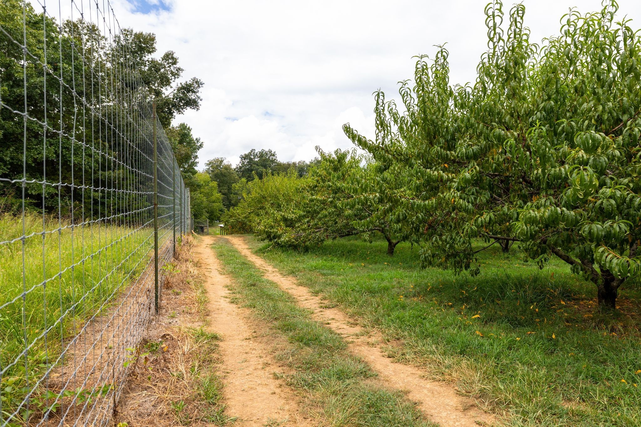 2350 Joe Brown Rd Property Photo 62