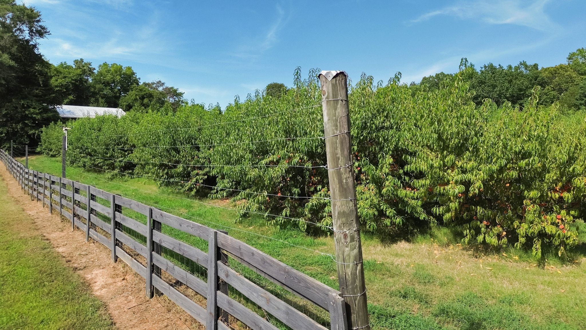 2350 Joe Brown Rd Property Photo 64