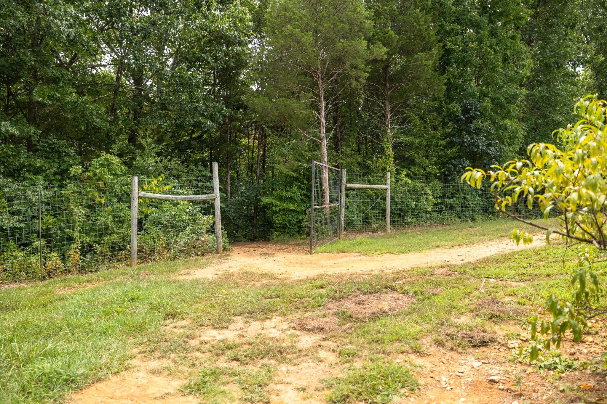 2350 Joe Brown Rd Property Photo 65