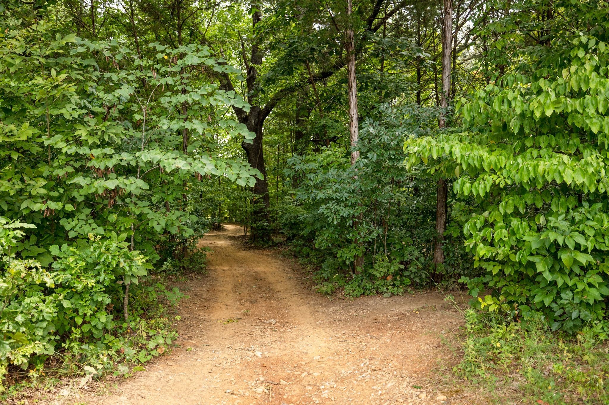 2350 Joe Brown Rd Property Photo 66