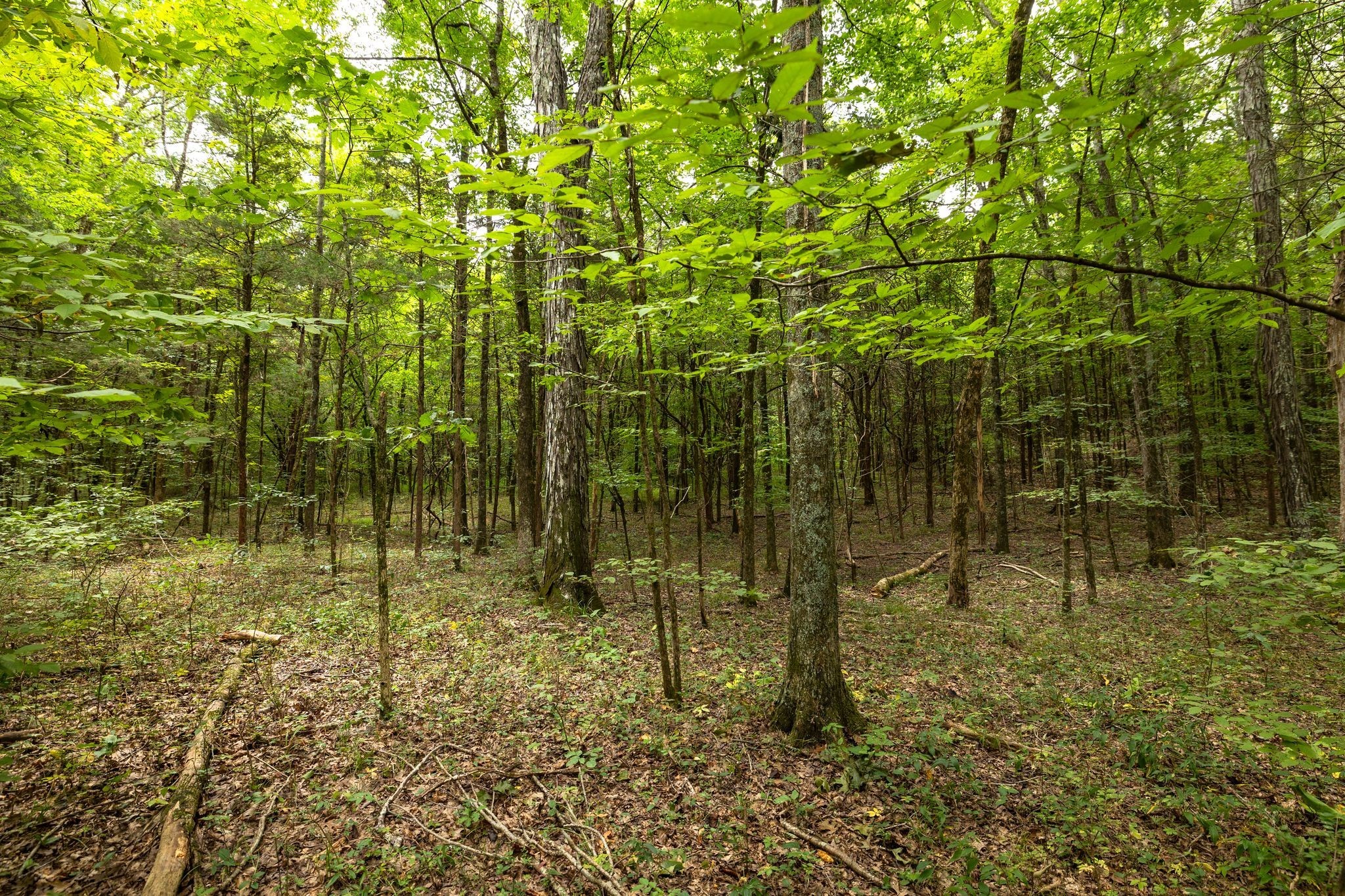 2350 Joe Brown Rd Property Photo 67