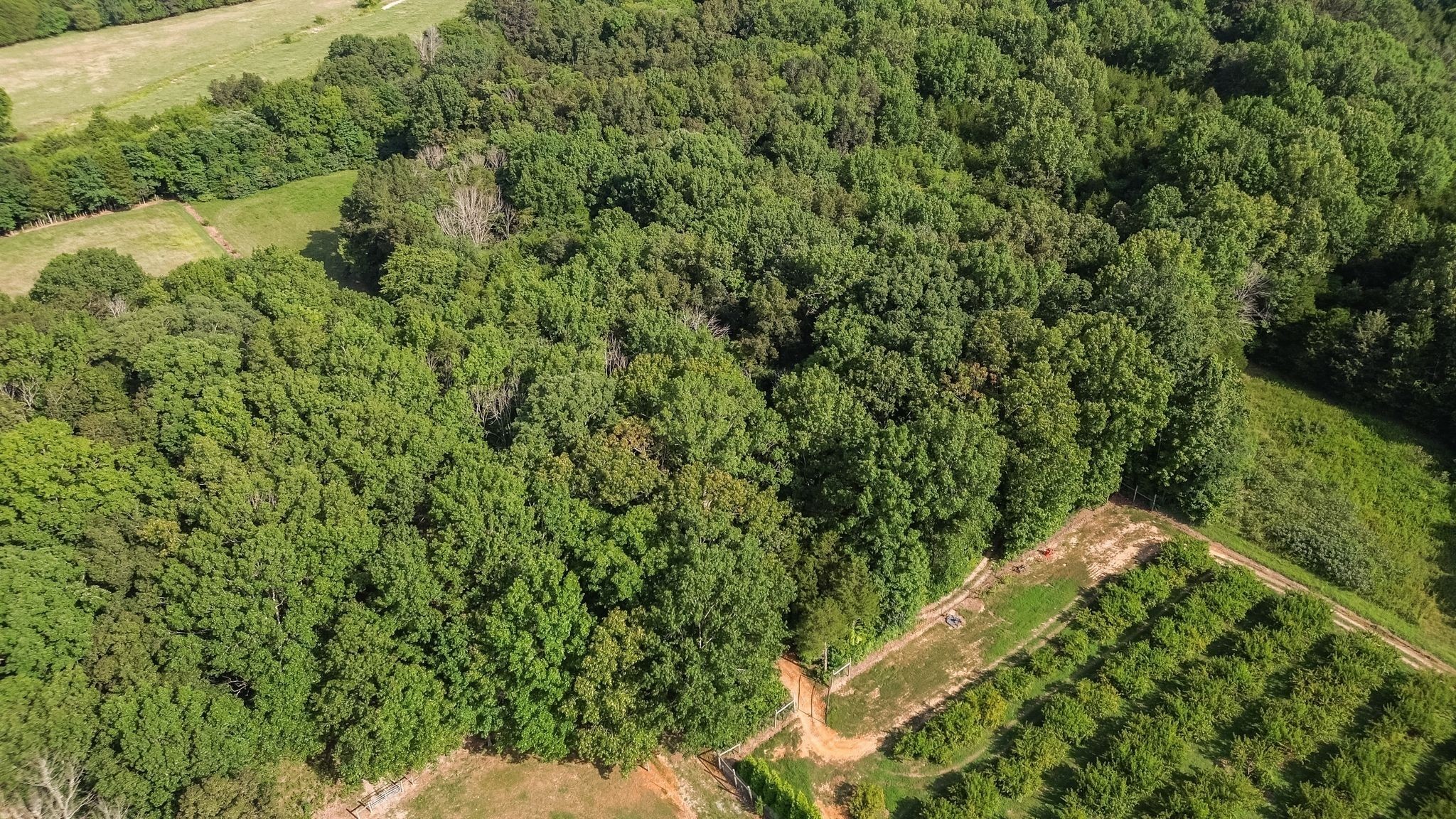 2350 Joe Brown Rd Property Photo 76