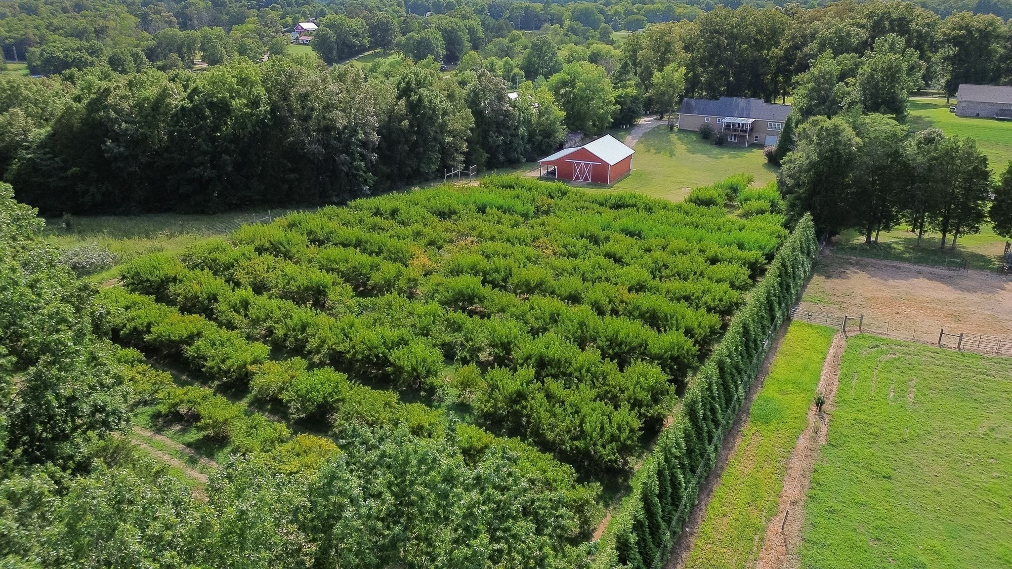 2350 Joe Brown Rd Property Photo 77