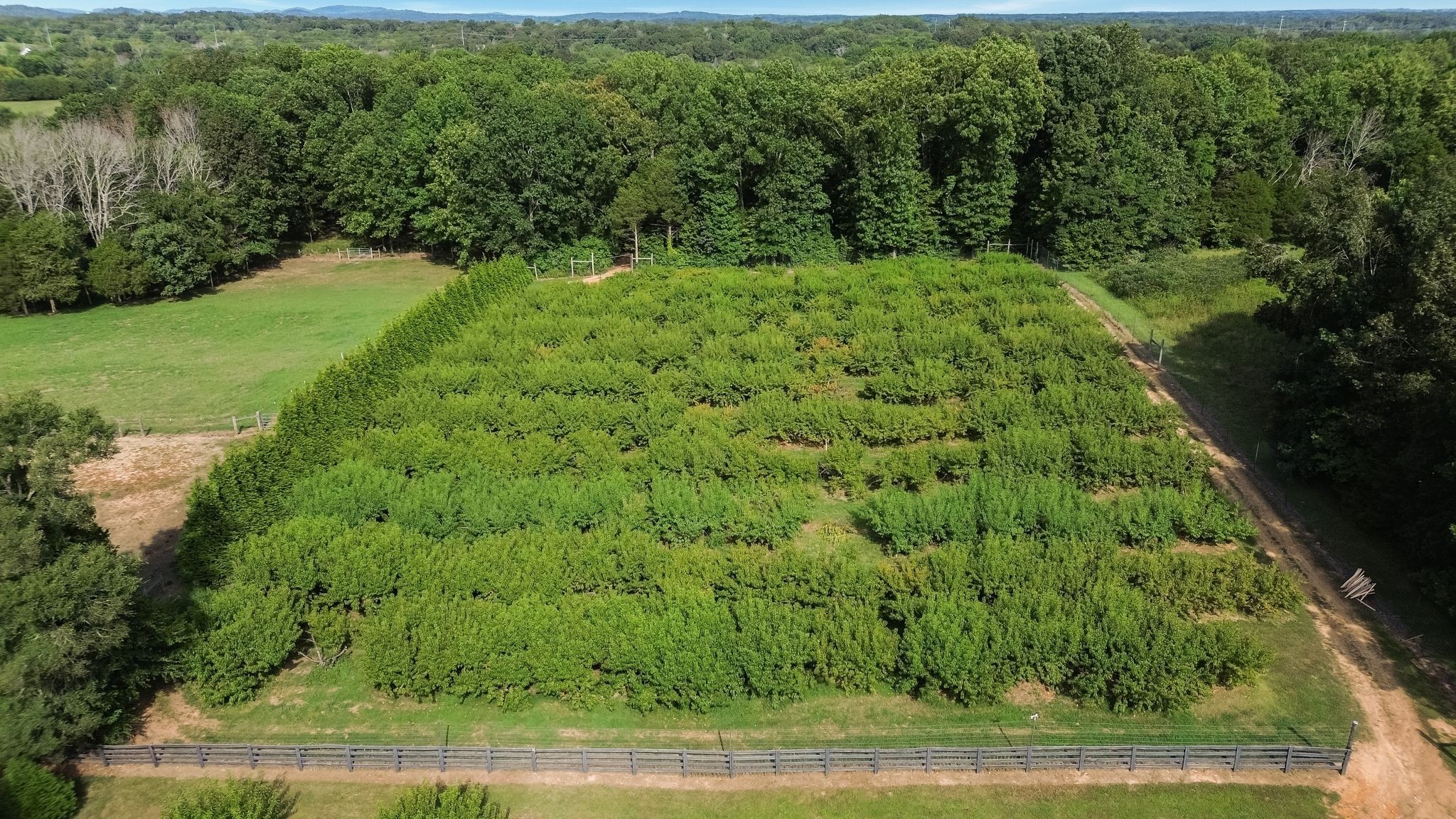 2350 Joe Brown Rd Property Photo 78