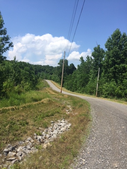 192 Diamond Point Drive Property Photo 5