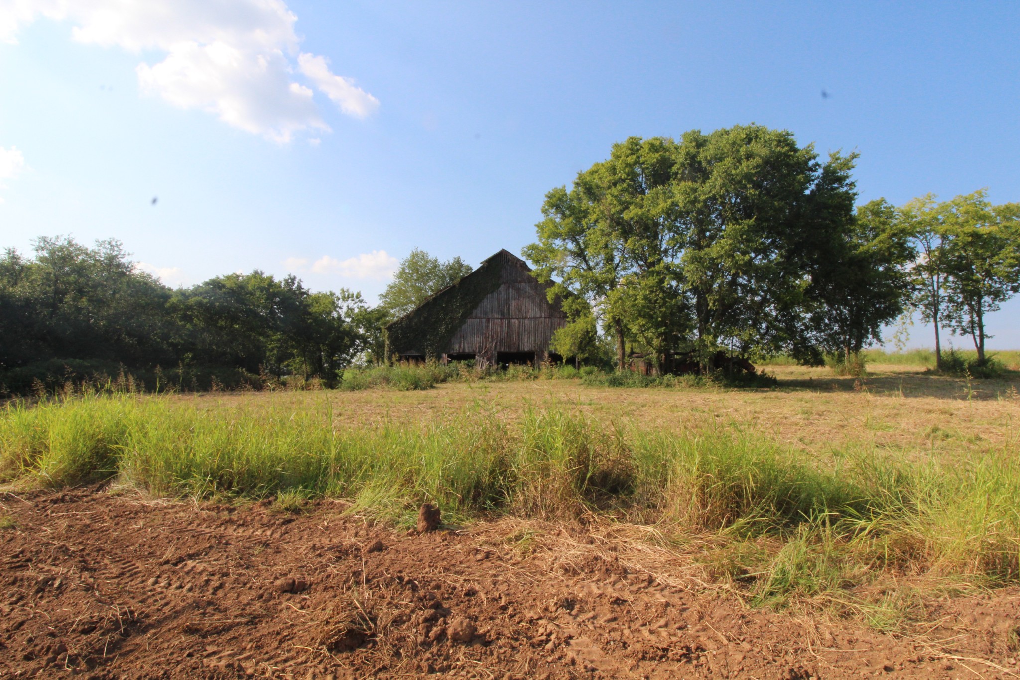 2716 Hartsville Pike Property Photo 3