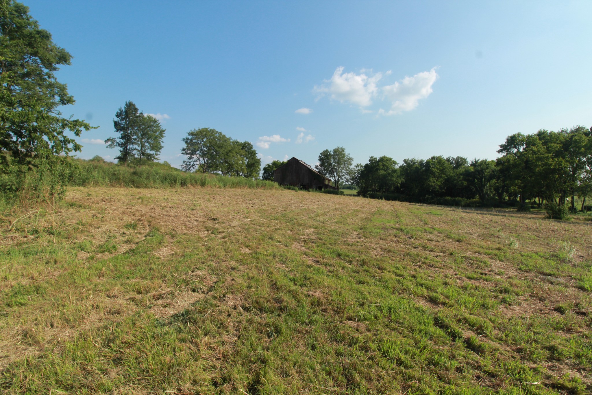 2716 Hartsville Pike Property Photo 5