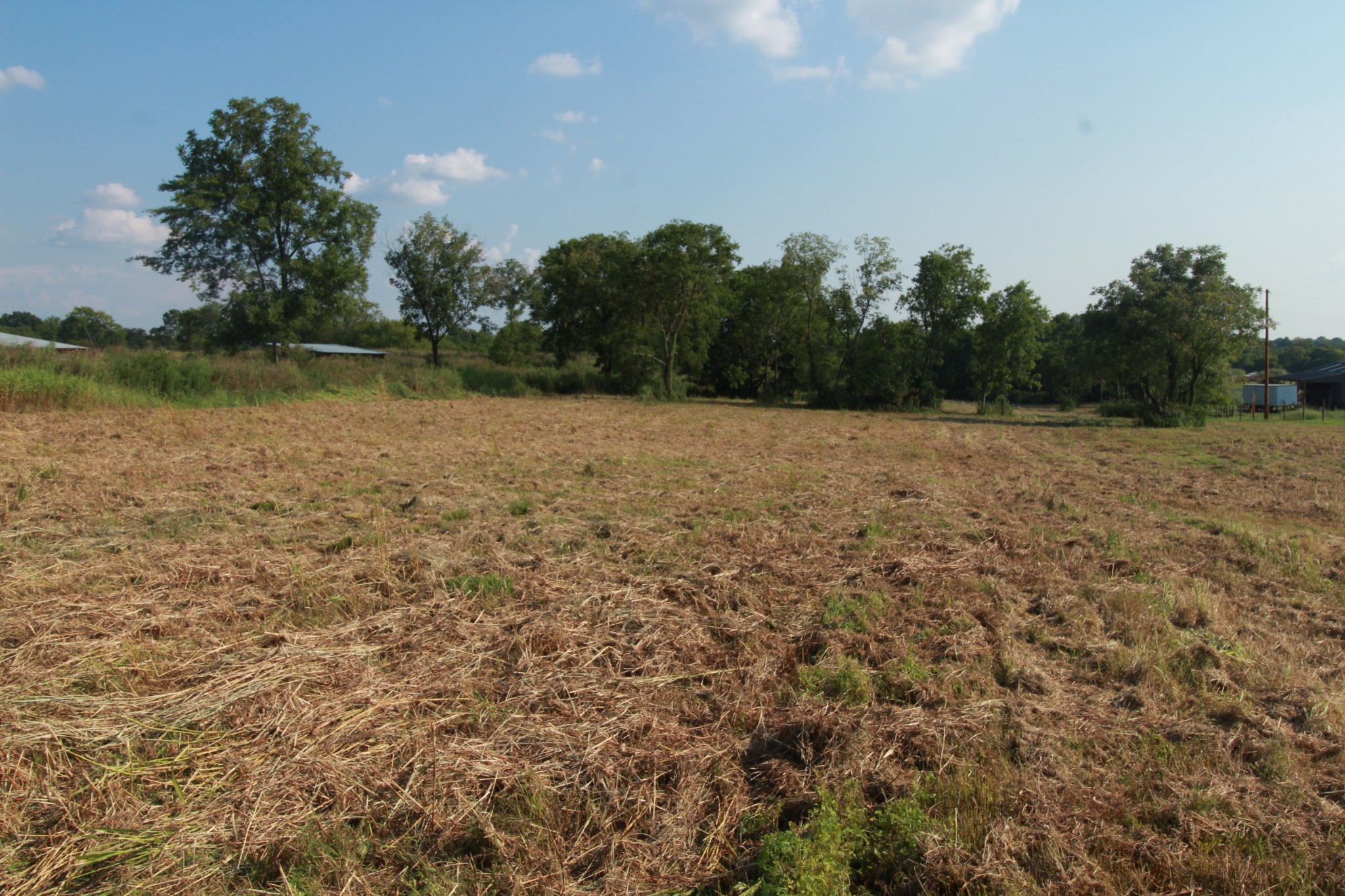 2716 Hartsville Pike Property Photo 6