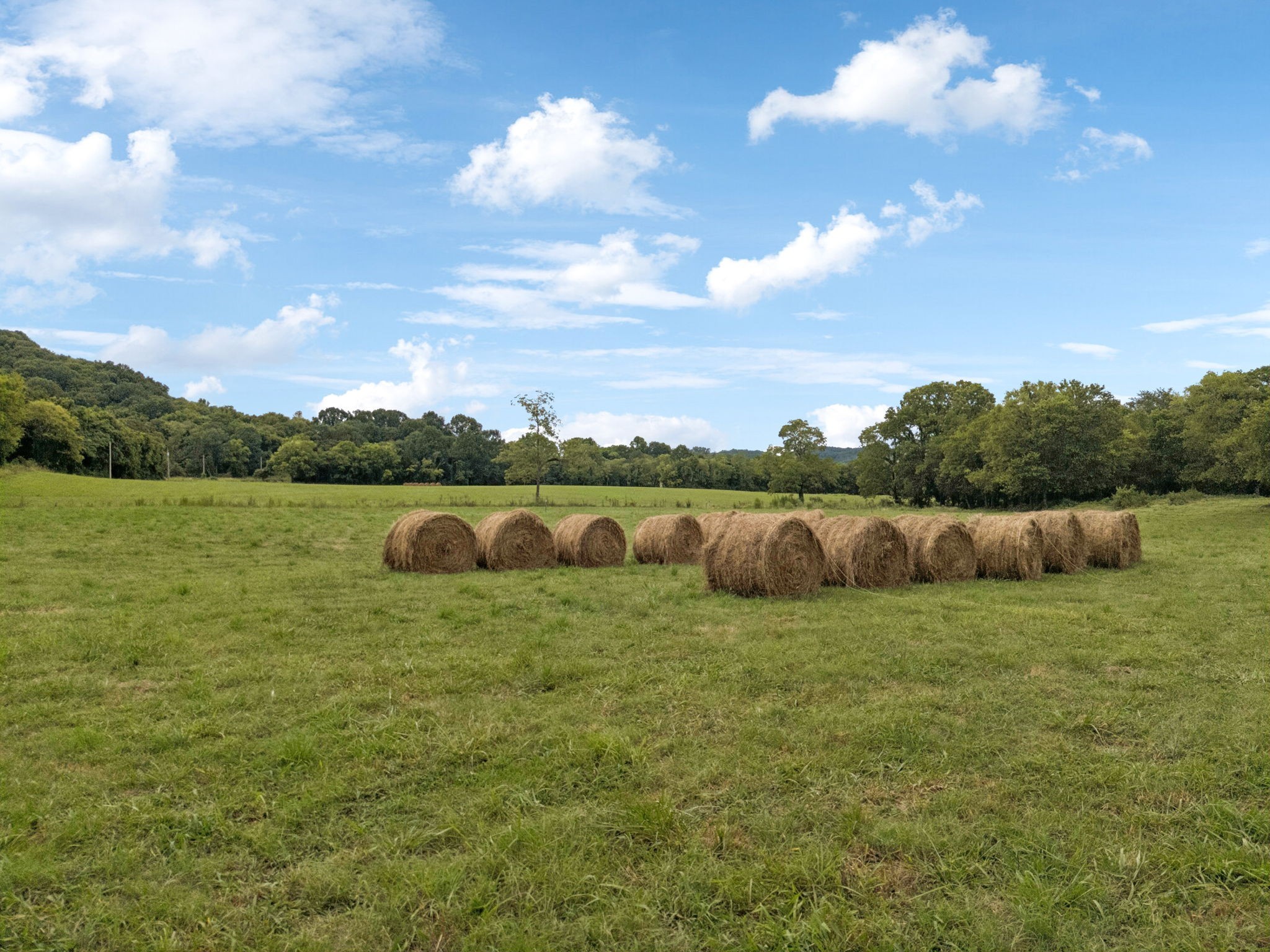 4 Crooked Hill Rd Property Photo 9