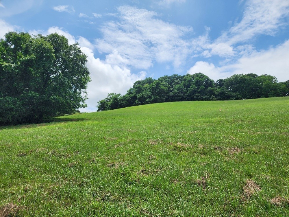 0 Granville Hwy Property Photo 2