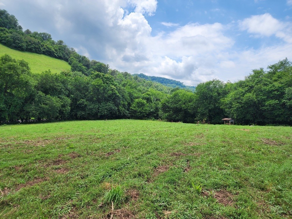 0 Granville Hwy Property Photo 3