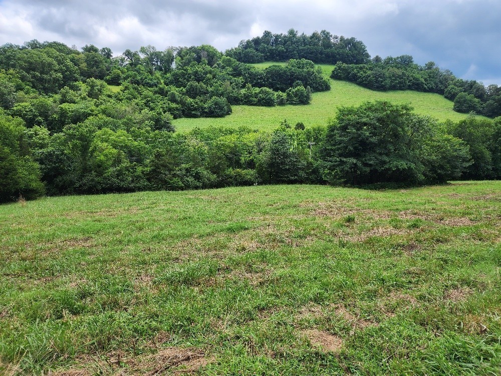 0 Granville Hwy Property Photo 6