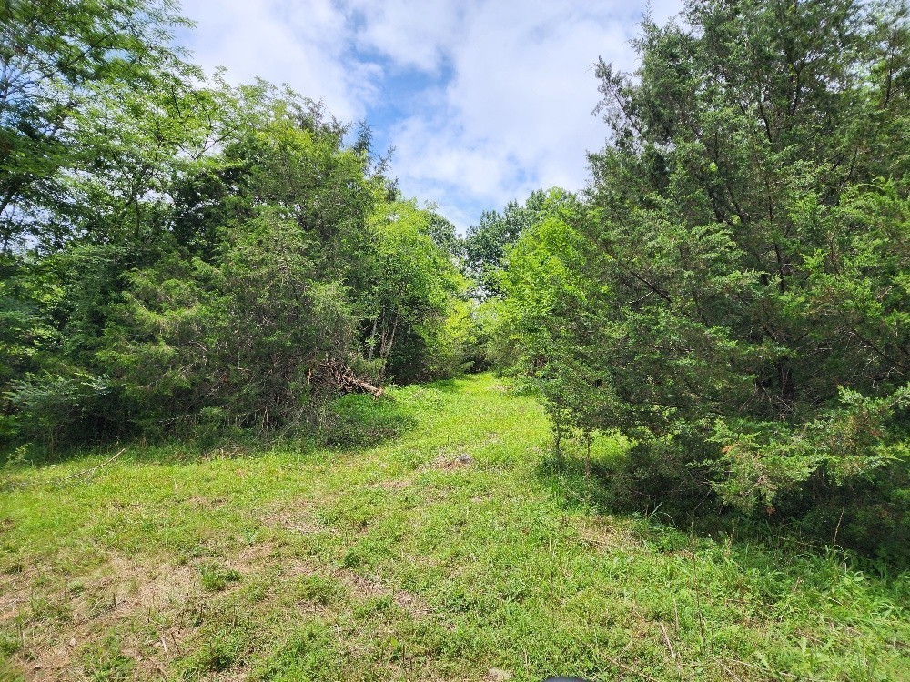 0 Granville Hwy Property Photo 7