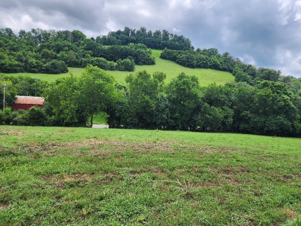 0 Granville Hwy Property Photo 8