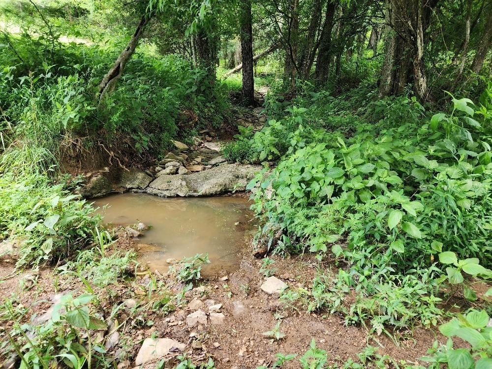 0 Granville Hwy Property Photo 9