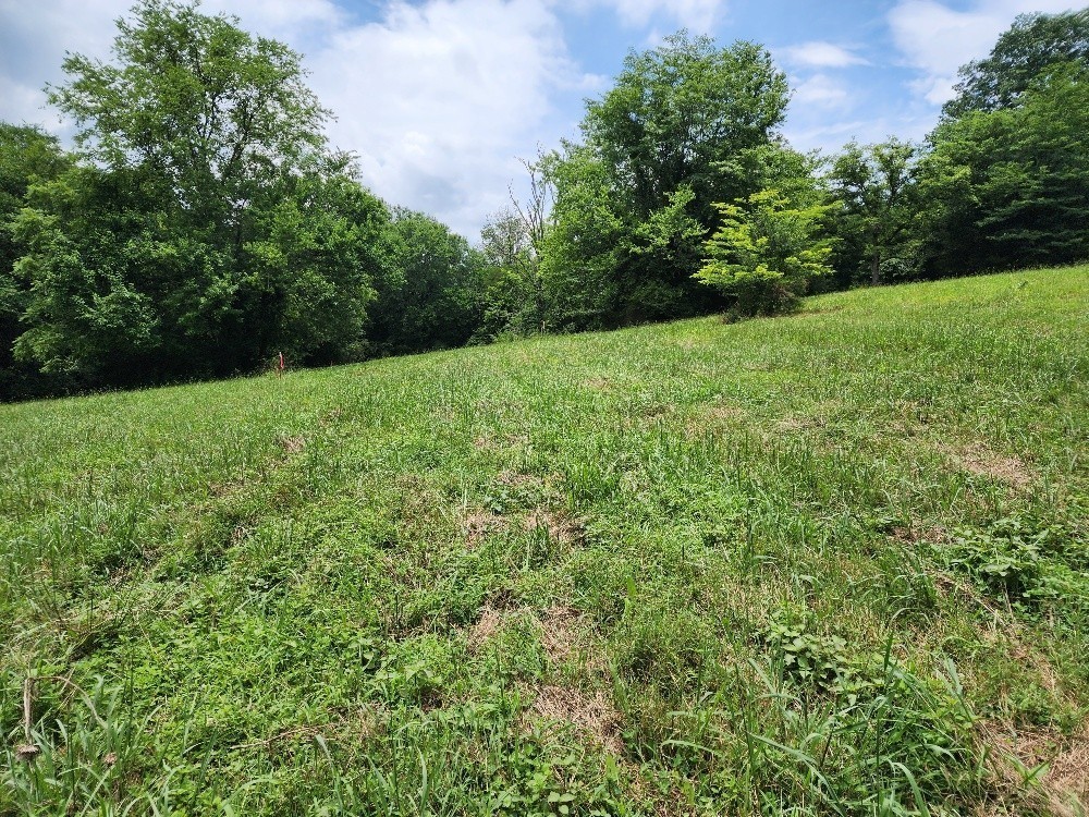 0 Granville Hwy Property Photo 10