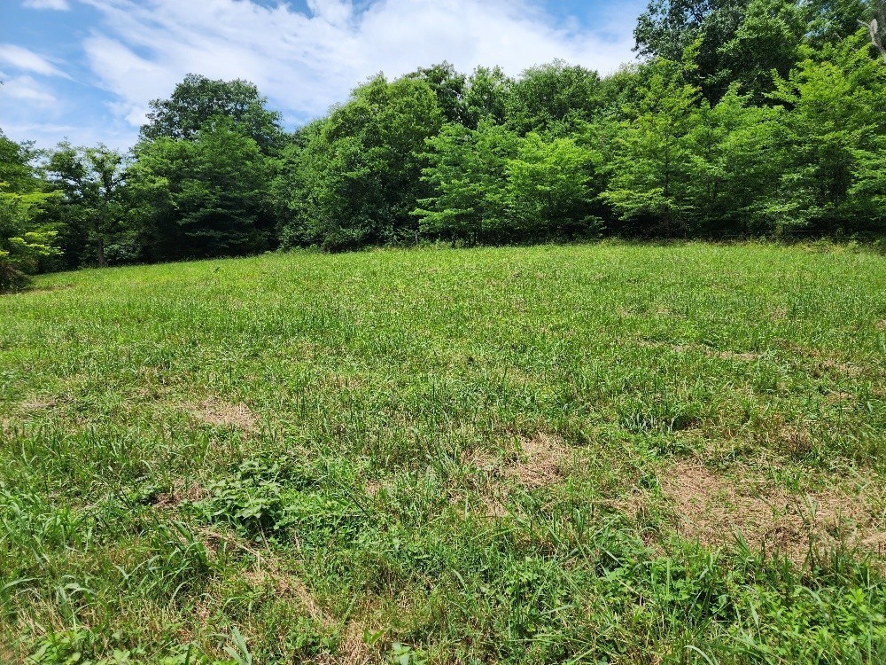 0 Granville Hwy Property Photo 11