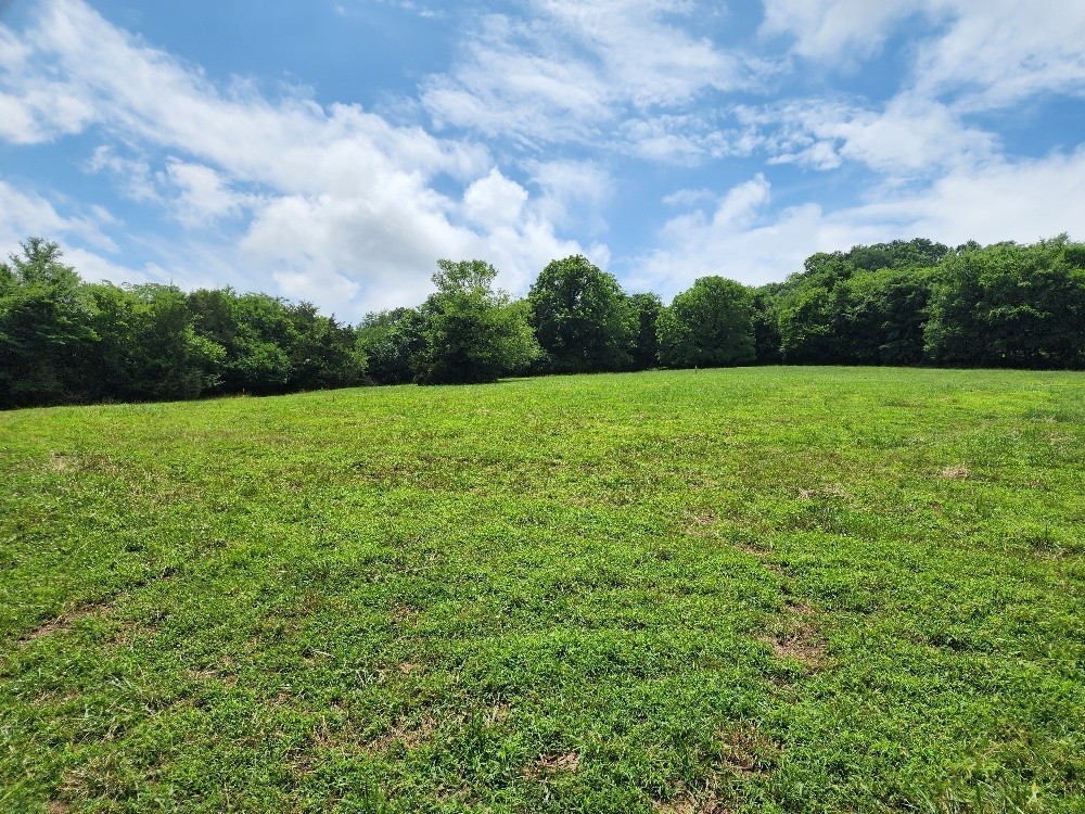 0 Granville Hwy Property Photo 12