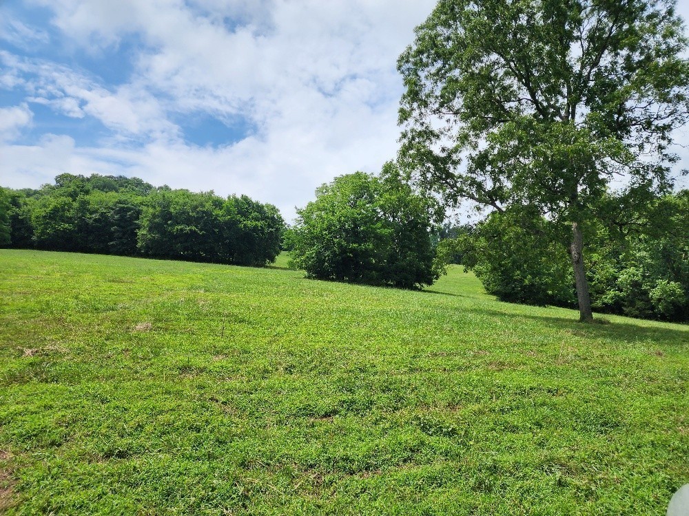 0 Granville Hwy Property Photo 13