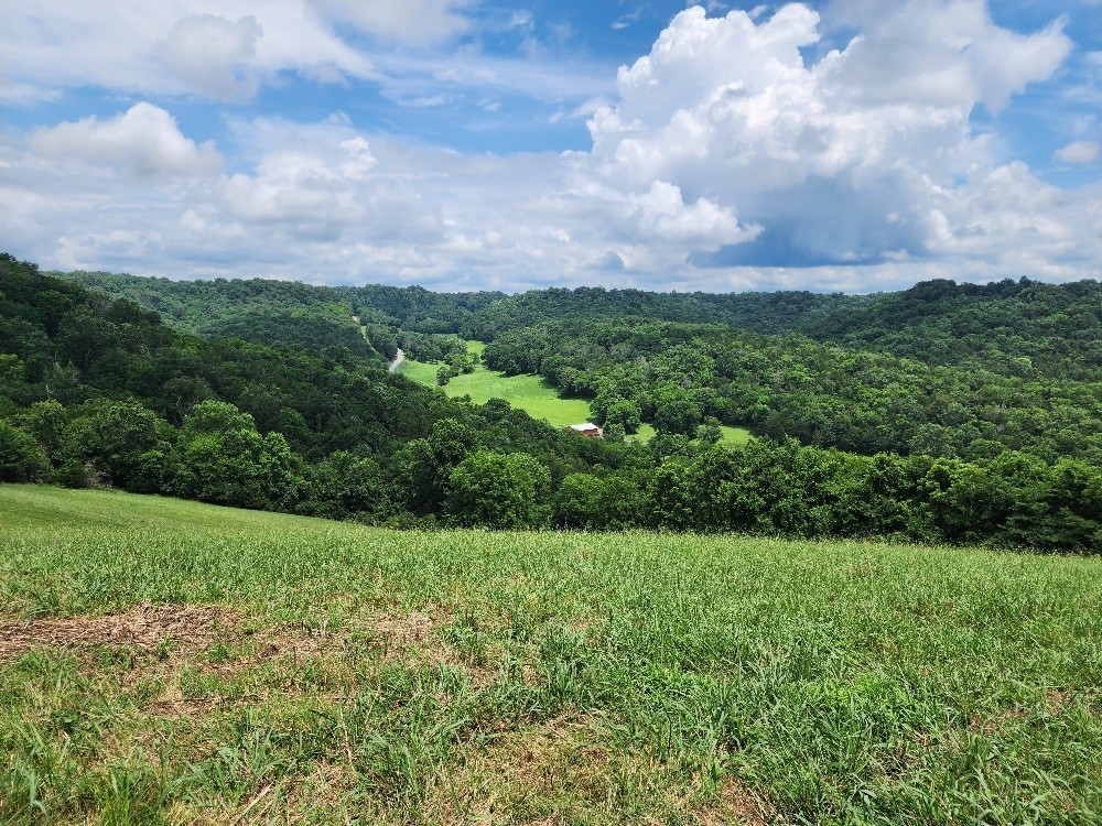 0 Granville Hwy Property Photo 15