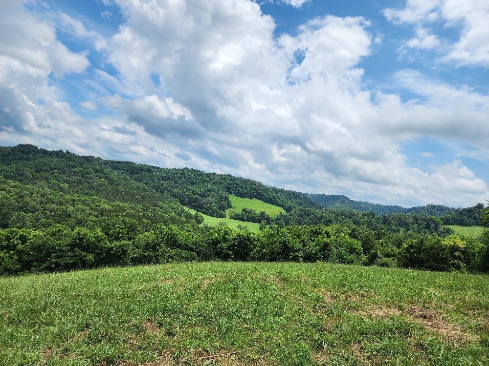 0 Granville Hwy Property Photo 16