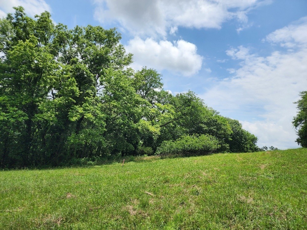 0 Granville Hwy Property Photo 18