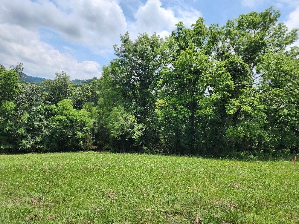 0 Granville Hwy Property Photo 19