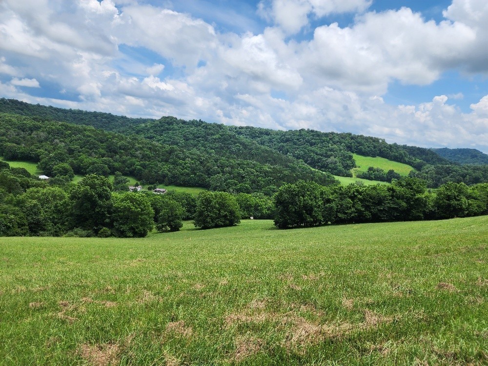 0 Granville Hwy Property Photo 20