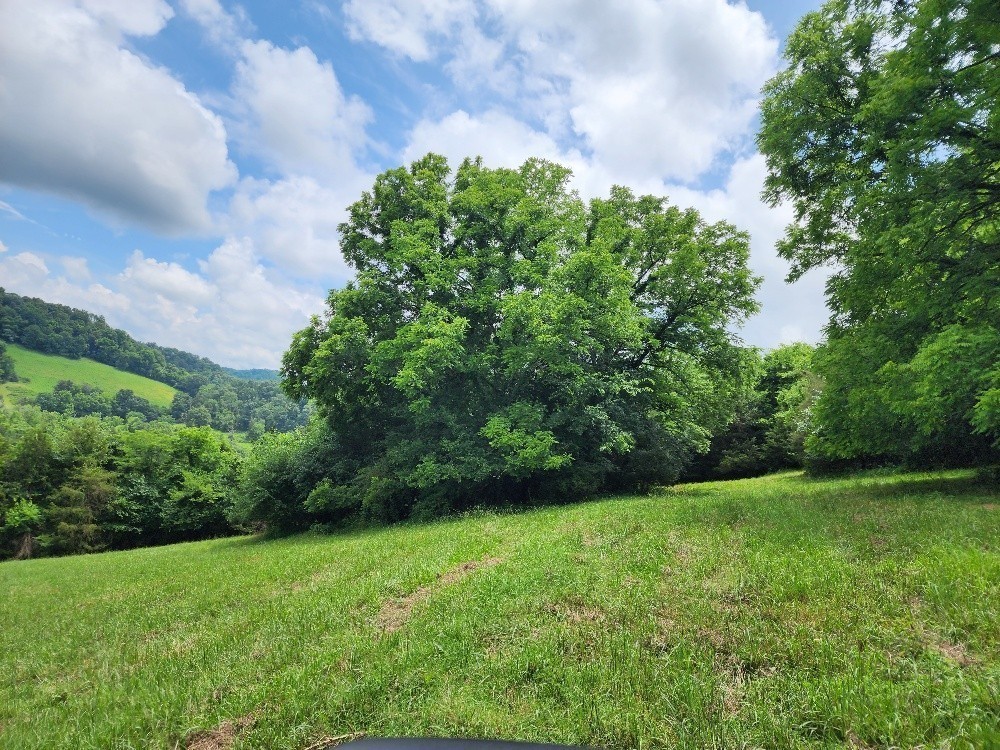 0 Granville Hwy Property Photo 21