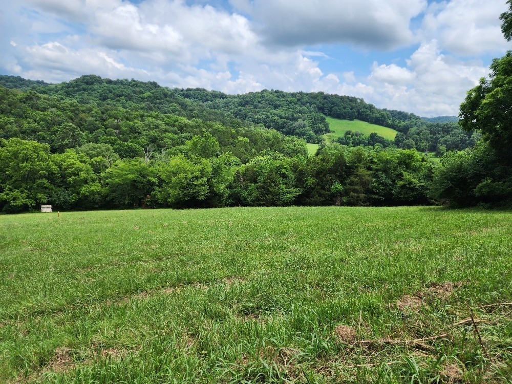 0 Granville Hwy Property Photo 22