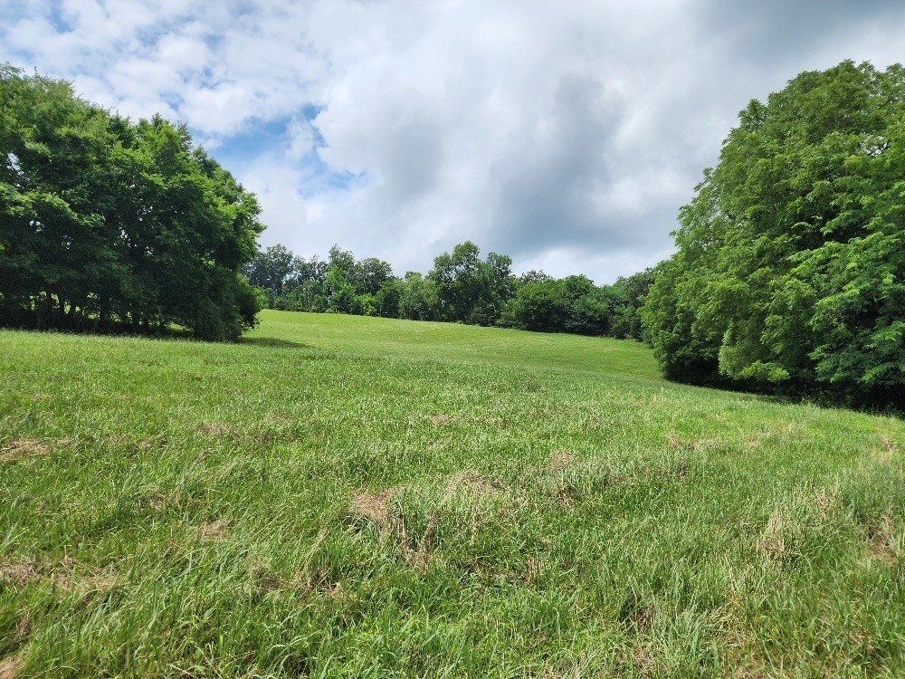 0 Granville Hwy Property Photo 23