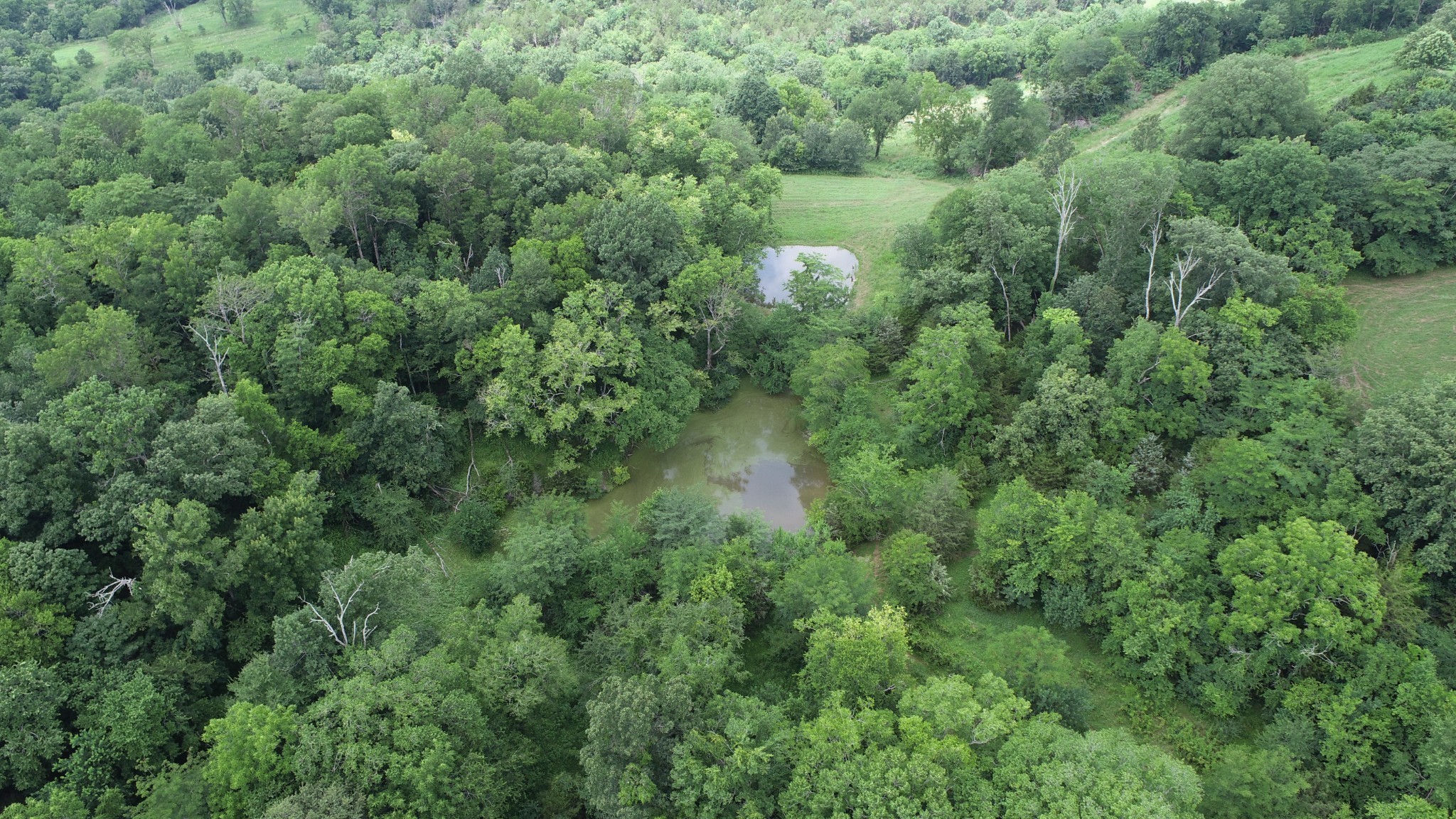 0 Granville Hwy Property Photo 43