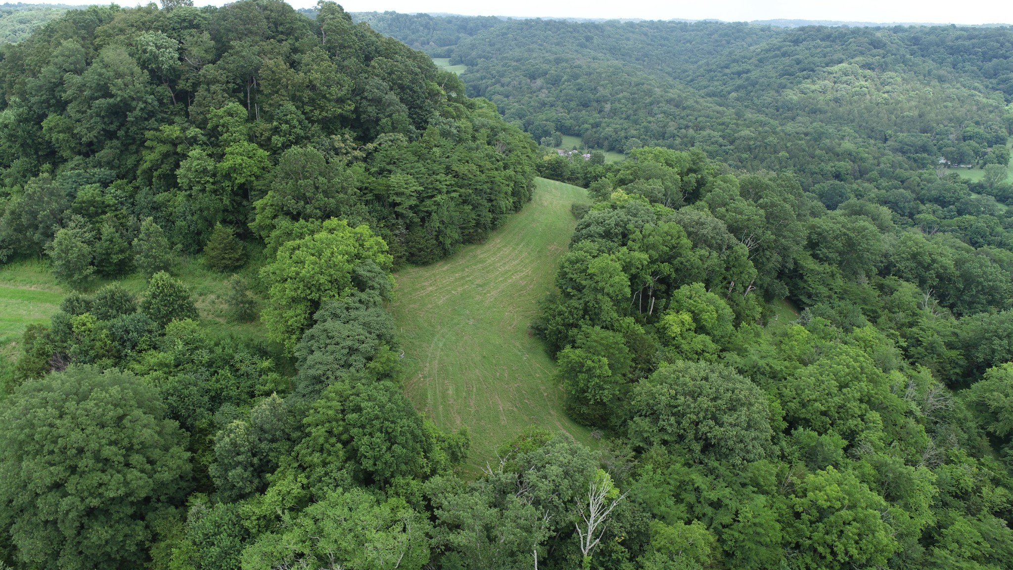 0 Granville Hwy Property Photo 44