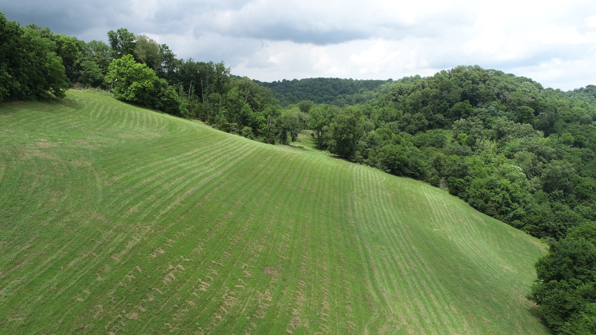 0 Granville Hwy Property Photo 51